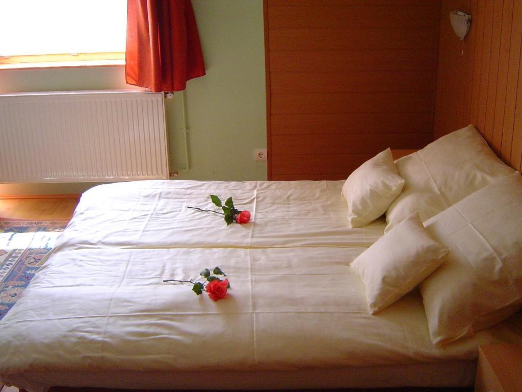 Lunczer Vendégház Mosonmagyaróvár Habitación foto